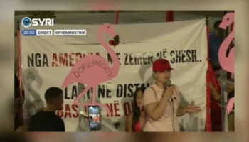 ‘Të bashkohemi për Shqipërinë’/ Protestuesja nga diaspora: Bashkimi dhe rezistenca, e vetmja mundësi