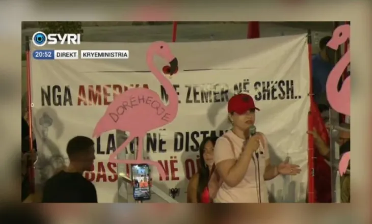 ‘Të bashkohemi për Shqipërinë’/ Protestuesja nga diaspora: Bashkimi dhe rezistenca, e vetmja mundësi