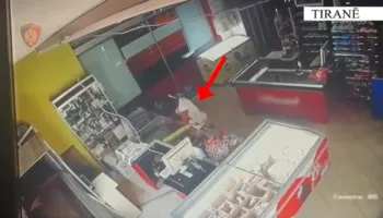 Të dyshuar për 6 raste vjedhjeje në 24 orët e fundit, prangosen 2 persona në Tiranë