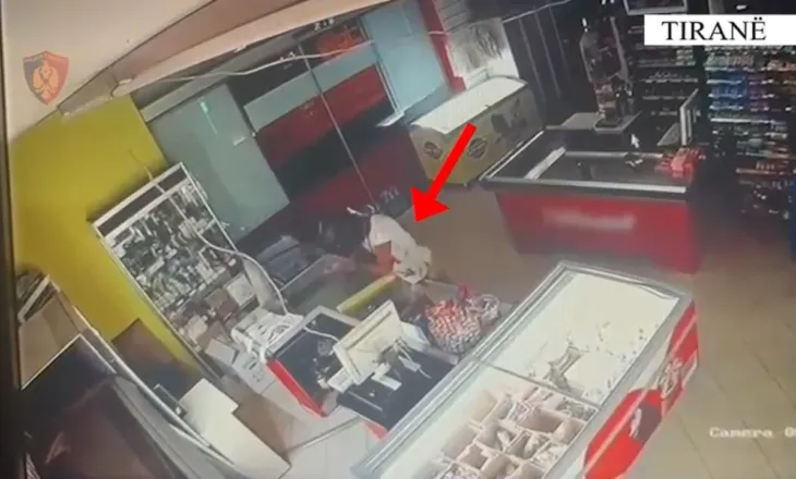 Të dyshuar për 6 raste vjedhjeje në 24 orët e fundit, prangosen 2 persona në Tiranë