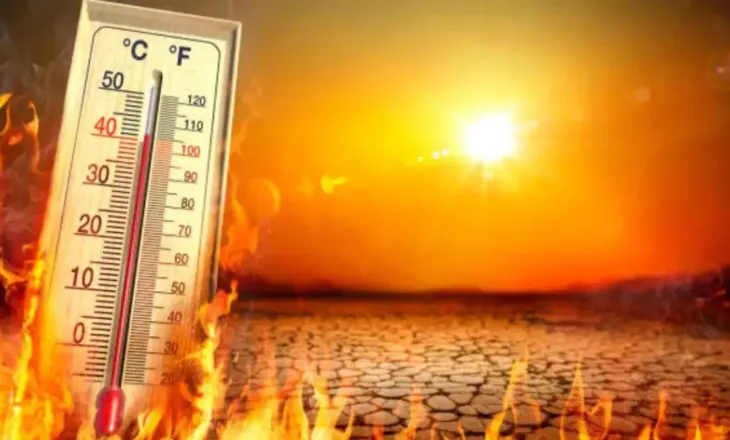Temperaturat ekstreme përvëlojnë Evropën/ Mbi 35 mijë viktima