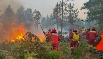 Temperaturat ekstreme, qarqet ku sot ka rrezik të lartë për zjarre