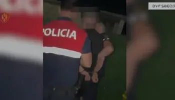 Tentuan të kultivonin kanabis/ Policia e Shkodrës, sekuestron 2500 fidanë dhe arreston dy persona