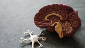 Terapia hormonale lidhet me rrezik më të ulët të demencëste gratë