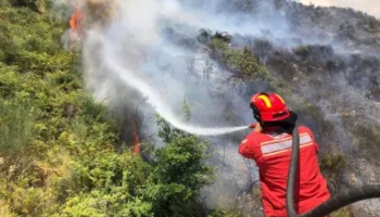 Tetë vatra zjarri aktive, vijon ndërhyrja nga toka dhe ajri në Dajt dhe Lurë