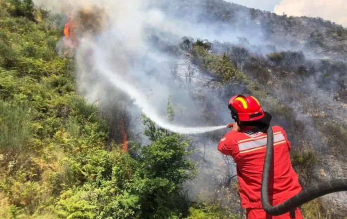 Tetë vatra zjarri aktive, vijon ndërhyrja nga toka dhe ajri në Dajt dhe Lurë