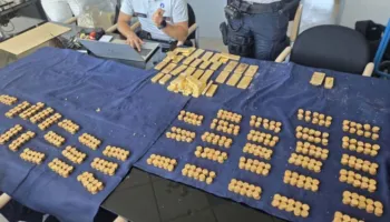 Thesar brenda mureve/ Punëtorët zbulojnë arin e fshehur në një vlerë 9 milion euro