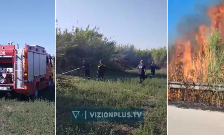 Tjetër vatër zjarri në vend, zjarrfikësit në “luftë” me flakët në Novoselë