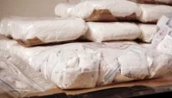 Trafik droge nga Shqipëria drejt Italisë/ Prokuroria e Leçes mbyll hetimet për 66 persona