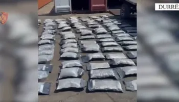 Trafik kanabisi nga Kanadaja drejt Shqipërisë, sekuestrohen 80 kg drogë dhe prangosen tre persona (Emrat)