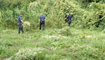 Tragjedi në Dukagjin, vriten dy persona dhe një tjetër plagoset