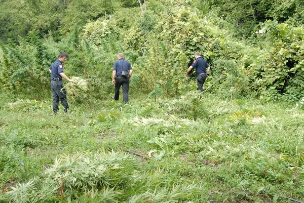Tragjedi në Dukagjin, vriten dy persona dhe një tjetër plagoset