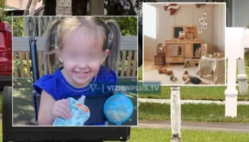 Tragjedi në Florida/ I mbeti koka e bllokuar në lodrën e drurit, 3-vjeçarja humb jetën