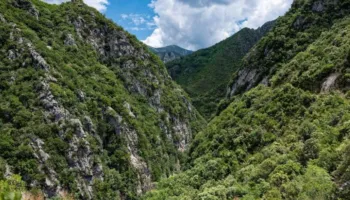Tragjedi në kufirin Shqipëri-Greqi/ Humb jetën një 20-vjeçar nga Kili