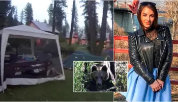 Tragjike/ Ariu tërheq zvarrë nga tenda e kampingut dhe vret 29-vjeçaren para syve të partnerit, një ditë pasi ishin fejuar