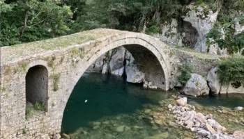 Tronditëse/ U hodh nga Ura e Vashës, zbulohet mesazhi që 35-vjeçari i la gruas