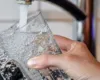U kthyet nga pushimet? Hapni rubinetat për të shmangur një bakter të rrezikshëm