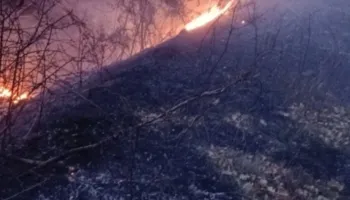 Vatër e madhe zjarri në Cërrik, operacion nga toka për shuarjen e flakëve, s’ka rrezik për zonat e banuara!