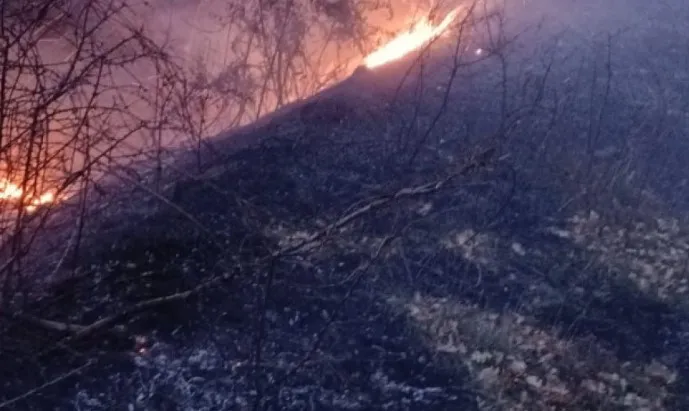 Vatër e madhe zjarri në Cërrik, operacion nga toka për shuarjen e flakëve, s’ka rrezik për zonat e banuara!