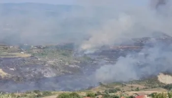 Vatër e re zjarri në Mallakastër, rrezikohen banesat në fshatin Koilac, digjen sipërfaqe të mëdha toke