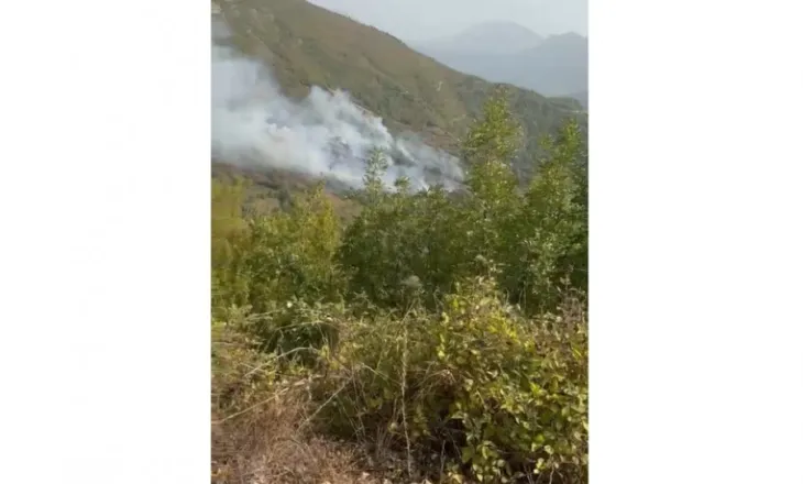 Vatër zjarri në fshatin Cudhi në Malësinë e Krujës, flakët po përhapen me shpejtësi
