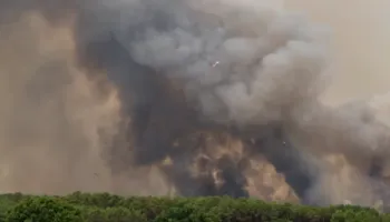 Vatër zjarri në Peshkëpi të Selenicës, rrrezikohen banesa. Flakët përfshijnë pjesërisht edhe një varrezë makinash