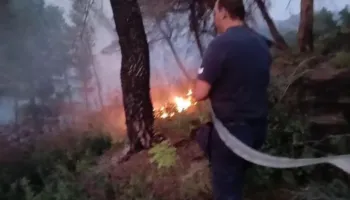 Vatra e Drenies ende aktive, errësira ndal betejën me flakët, operacioni rinis nesër