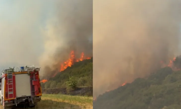Vazhdon zjarri në Koilacin të Mallakastrës, flakët rrezikojnë banesat, mobilizohen forca zjarrfikëse nga 4 qytete