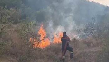 VIDEO/ Flakët përfshijnë Zall-Strikçanin, banesa rrezikohet nga zjarri në Bulqizë