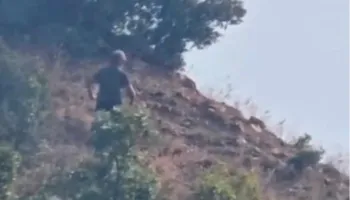 VIDEO/ Piromani kapet duke vënë zjarret në Mirditë, arrestohet! Lamallari apel drejtësisë: Prokuroria dhe Gjykata t’i shkojnë deri në fund çështjes!
