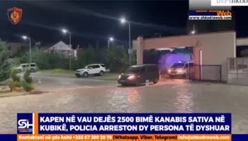 VIDEO – Policia arreston në Vau Dejës dy persona, transportonin me makinë 2500 kubikë kanabis sativa