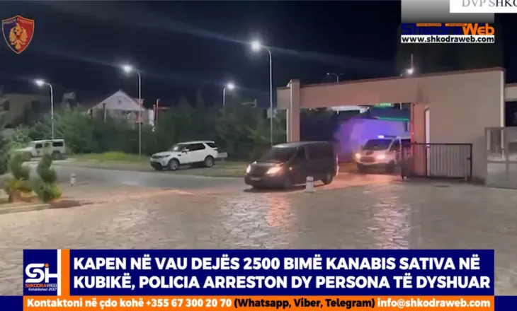 VIDEO – Policia arreston në Vau Dejës dy persona, transportonin me makinë 2500 kubikë kanabis sativa