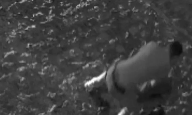 VIDEO / “Shtrihu në tokë, mos lëviz”, dalin pamjet e arrestimit të autorit të vrasjes në Korçë