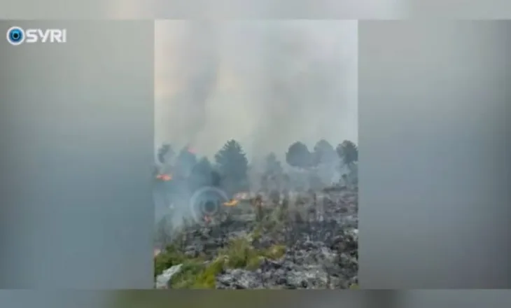 VIDEO/ Vijon zjarri mbi Dukat, flakët përhapen drejt malit të Çikës