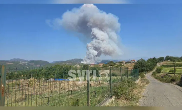 VIDEO/ Zjarr i madh në Kodër Rrëshen, flakët afrohen pranë zonave të banuara