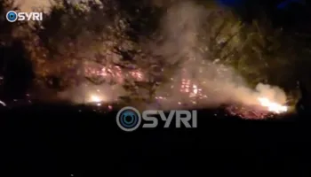 VIDEO/ Zjarr në sipërfaqe pyjore mbi fshatin Sinicë në Devoll