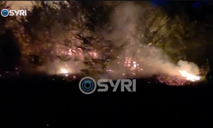 VIDEO/ Zjarr në sipërfaqe pyjore mbi fshatin Sinicë në Devoll