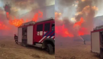 VIDEO/ Zjarre të frikshme në Daias, flakët ‘vërshojnë’ mbi zjarrfikëset