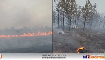 VIDEO – Zjarret në malin e Terbunit në Pukë vijojnë aktivë, ndërhyjnë nga ajri dhe 2 helikopterë…