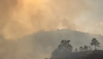 VIDEO/ Zjarret në Shkopet, përkeqësohet situata. Flakët rrethojnë një fermë blegtorale
