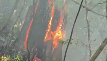 Vihet nën kontroll pas një dite vatra e zjarrit në Bërshi të Klosit, shmangen pasojat në zonën e banuar! Dyshohet se u vu qëllimisht
