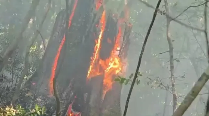 Vihet nën kontroll pas një dite vatra e zjarrit në Bërshi të Klosit, shmangen pasojat në zonën e banuar! Dyshohet se u vu qëllimisht