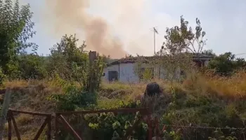 Vijon beteja me flakët në zonën pyjore të Ribanit në Mallakastër, zgjerohet vatra drejt fshatit