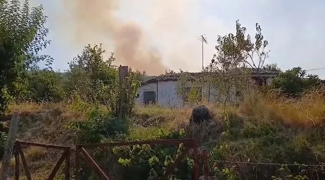 Vijon beteja me flakët në zonën pyjore të Ribanit në Mallakastër, zgjerohet vatra drejt fshatit