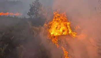 Vijon të mbetet e rënduar situata në pyjet e Tërbunit dhe Gjegjanit, Bashkia Pukë kërkon ndërhyrje nga ajri