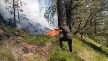 Vijon vatra e zjarrit në Qafë Helmes të Bulqizës, ndërhyrja nga toka e pamundur, kërkohet mbështetje nga ajri