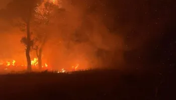 Vlora “skuqet” nga flakët/ Zjarrfikësit në “luftë” me zjarrin