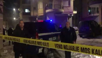 Vrau nënën dhe plagosi babain! Ja kush janë autori dhe viktima në Lushnjë (EMRAT)