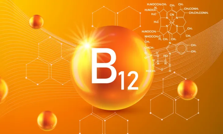 Zbulim shkencor: Një mikroorganizëm i pasur me proteina mund të bëhet burim i qëndrueshëm i vitaminës B12