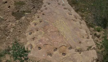 Zbulimi i rrallë në Kolorado: Gjurmët 150 milionë vjeçare tregojnë se dinosauri gjigant mund të ketë ecur duke çaluar